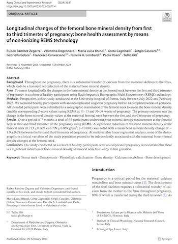 Longitudinal changes of the femoral bone mineral density from first to third trimester of pregnancy: bone health assessment by means of non‐ionizing REMS technology